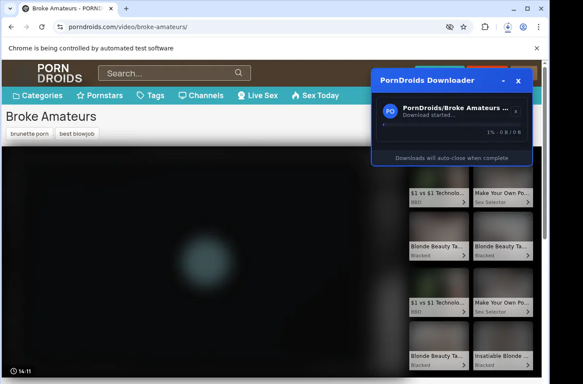 Porndroids Video Downloader browser extension screenshot 2