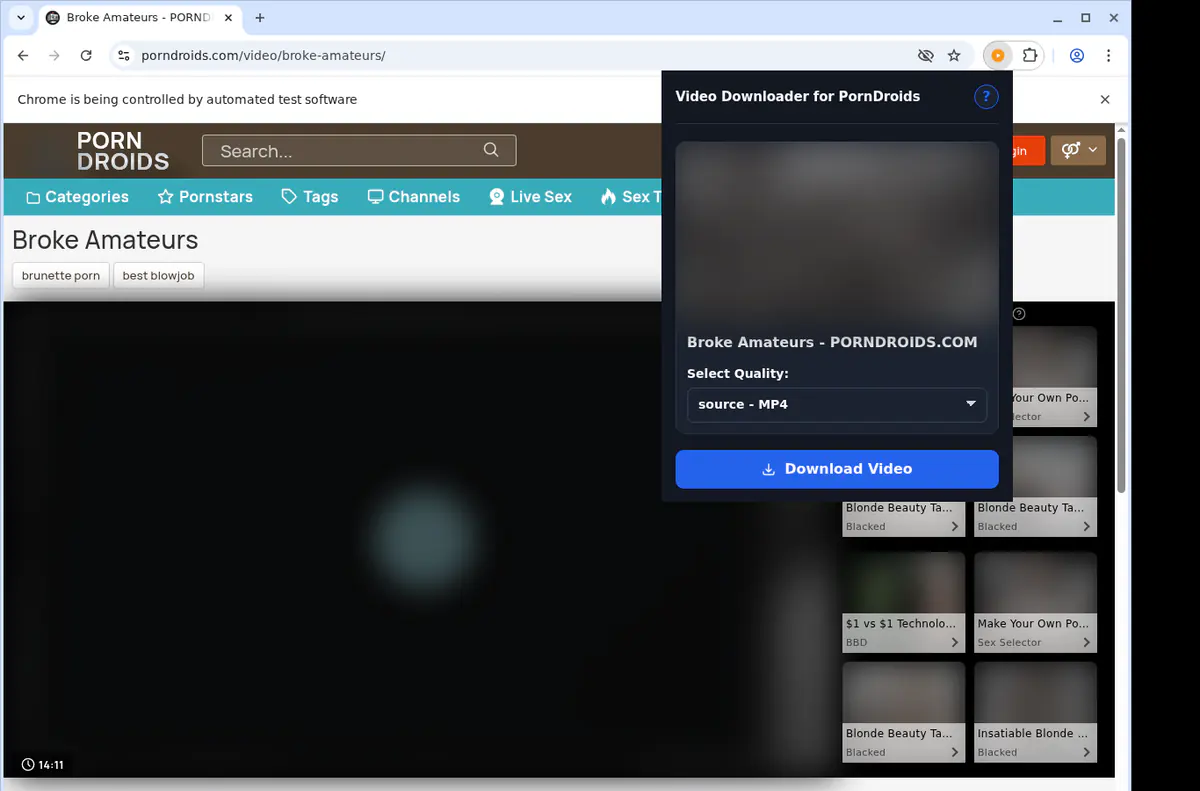 Porndroids Video Downloader browser extension screenshot 3