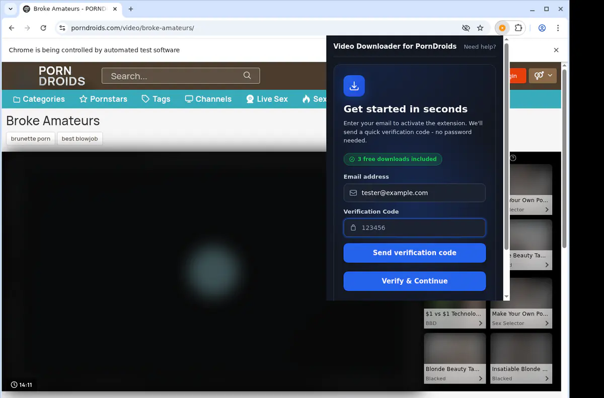 Porndroids Video Downloader browser extension screenshot 4